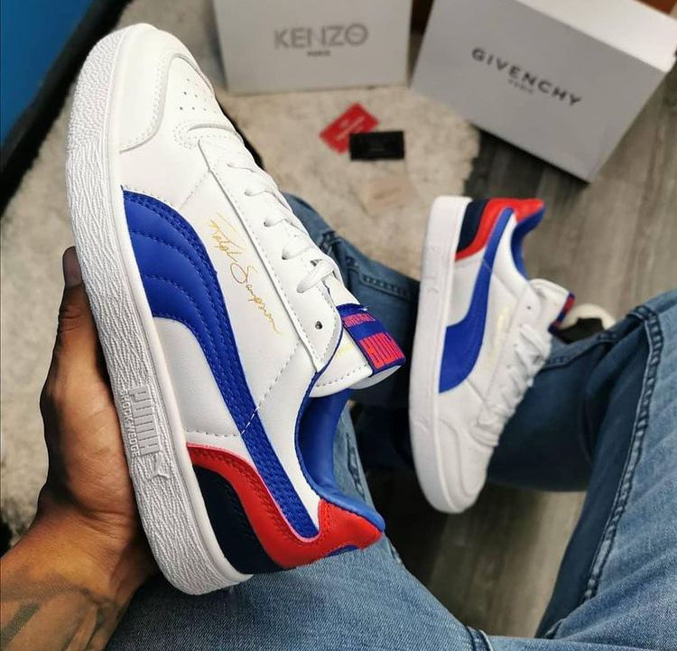 Miniatura: PUMA