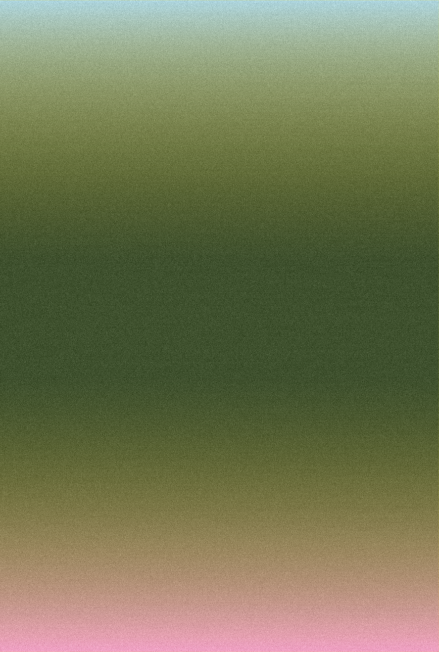MIS-fondo.png