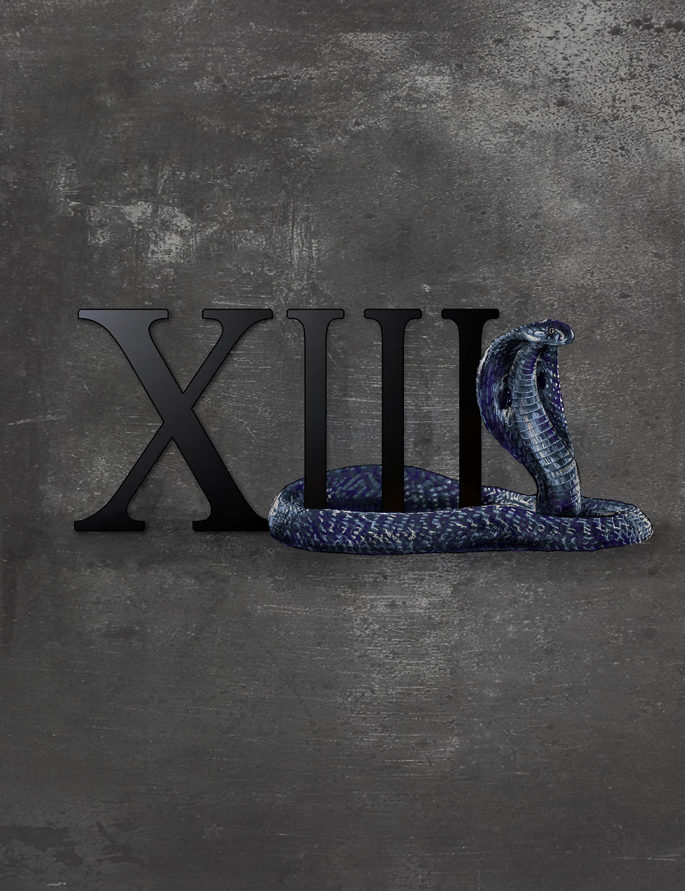 XIII