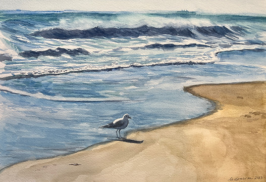 rockaway beach seagull.jpeg