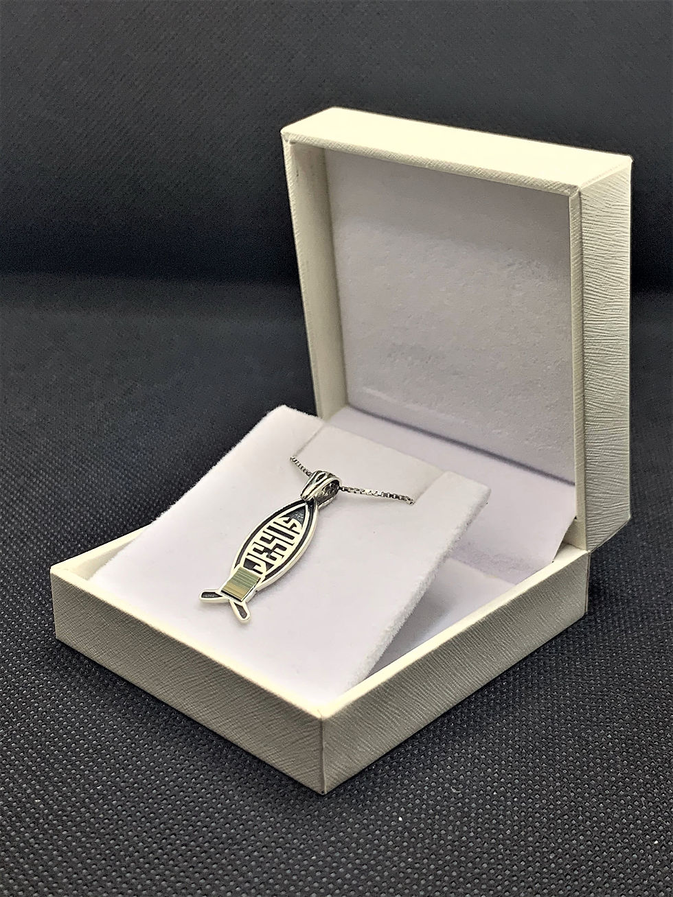 Thumbnail: Fish pendant with New testament Nano Bible sim with Jesus name in white jewelry box