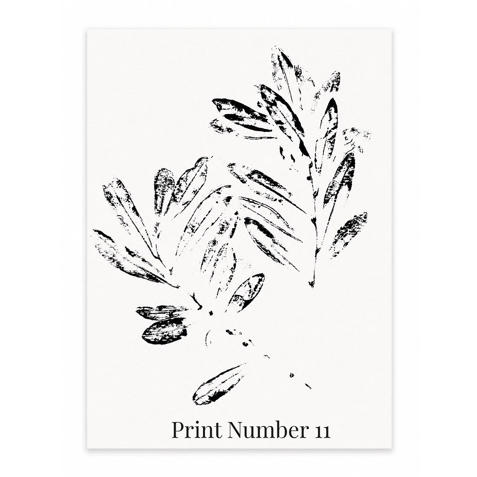 Original Jerusalem dual olive branches botanical monoprint print featuring detailed double leaf textures signed by artist Ale