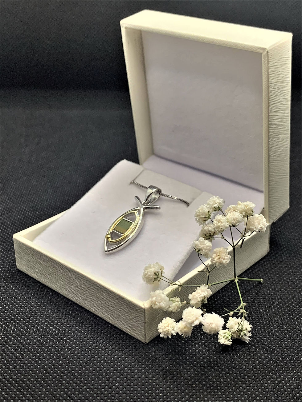 Thumbnail: Set of 2 Nano Bible Fish items, 925 sterling silver with 9K gold, New Testament
