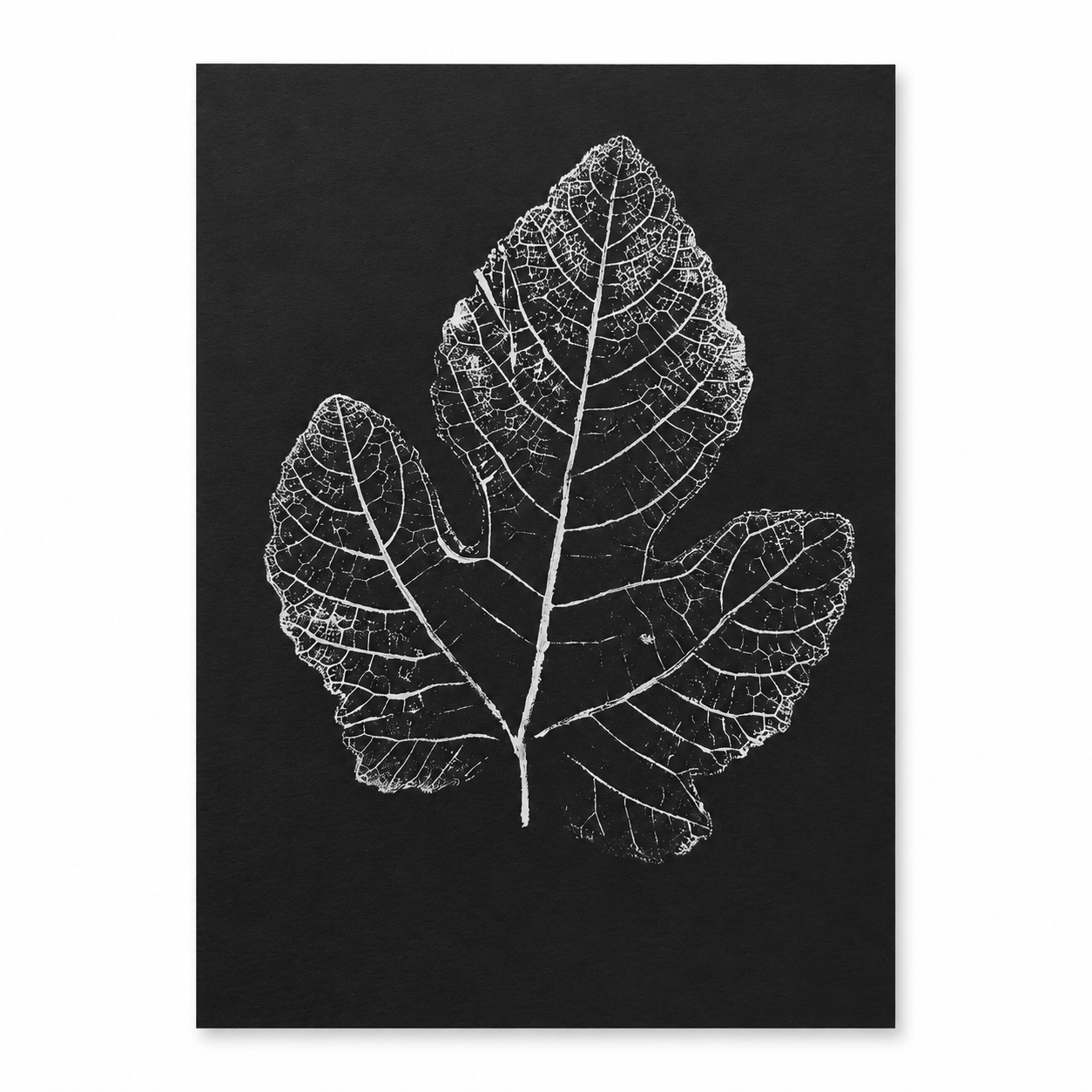 Authentic Jerusalem Fig Leaf Botanical Monoprint-1, Hand-Pressed Holy Land Art