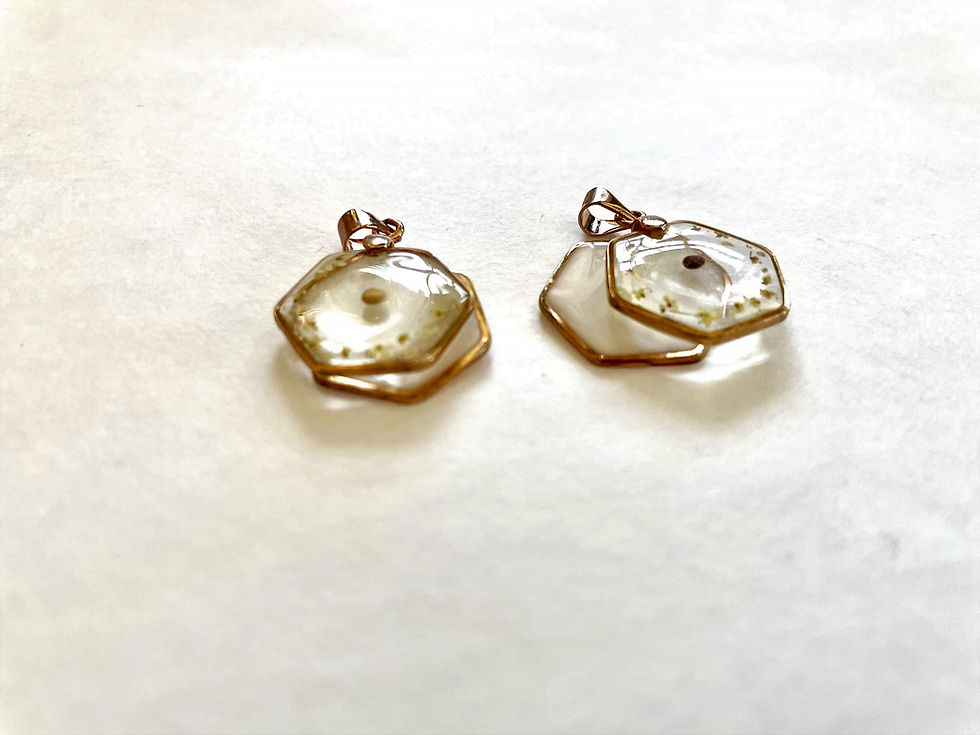 Thumbnail: Patricia-Octagonal pendant (double) with mustard seed, with dried flowers front view
