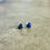 Thumbnail: Heart silver/gold plated stud handmade earrings with real and dried flowers