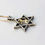 Thumbnail: Star of David pendant, with a lion, 925 sterling silver with 9K gold