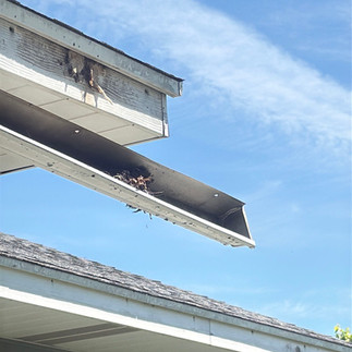 Why Are My Gutters Leaking?