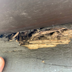 Why Fascia Repair Matters?