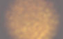 Golden Sparkles_edited.jpg