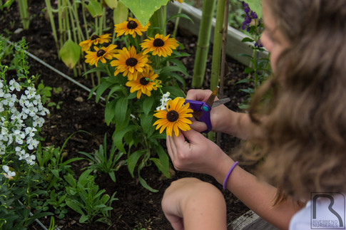 Riverbend Nurseries