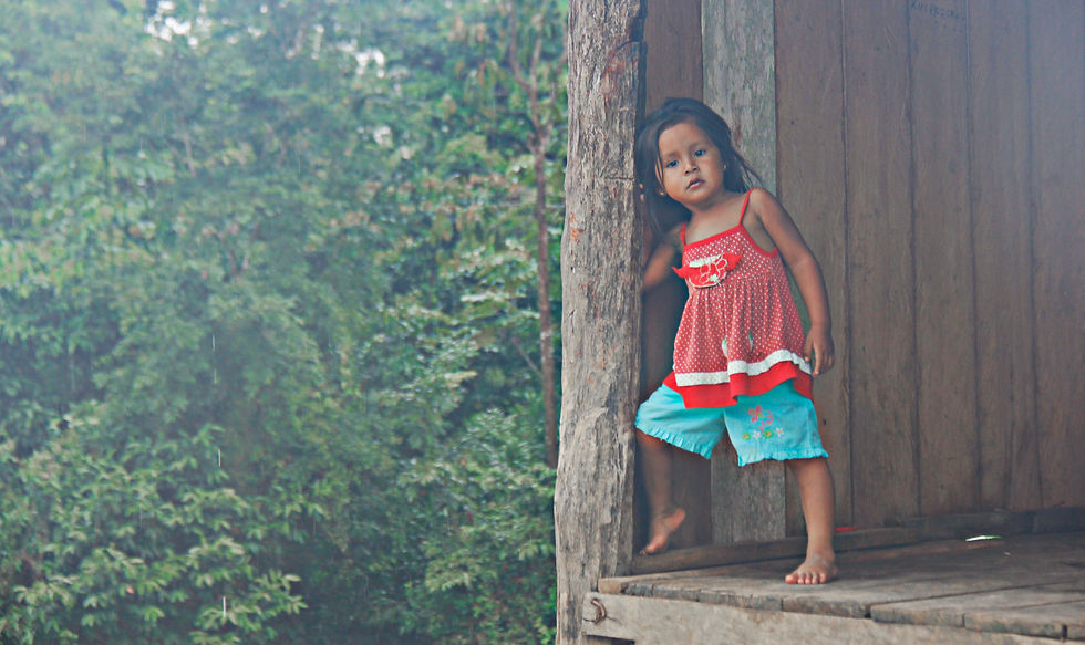 Modeling in the Jungle