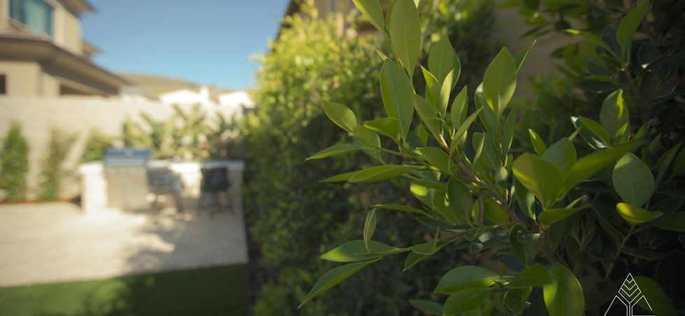 Glanscape location3_1.6.1.jpg