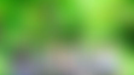 想いを叶える親愛信託　84