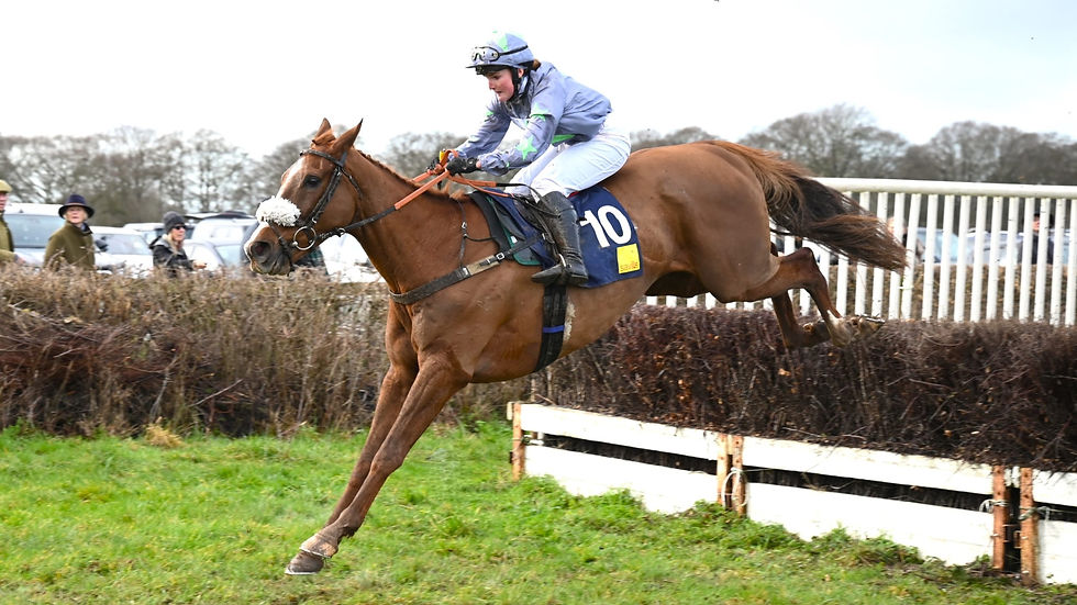 Illico De Cotte wins an Open at Badbury Rings (Tim Holt)