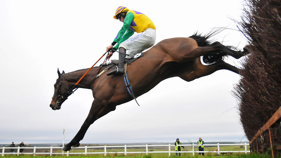 Fred en route to victory on Good Boy Eric (Tim Holt)