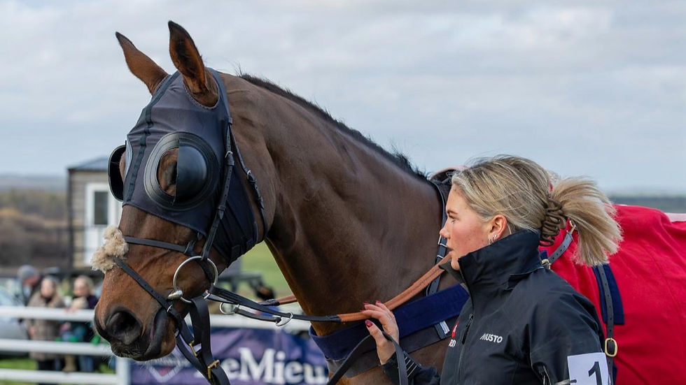 Magical Escape being led round by Olive Nicholls at Larkhill