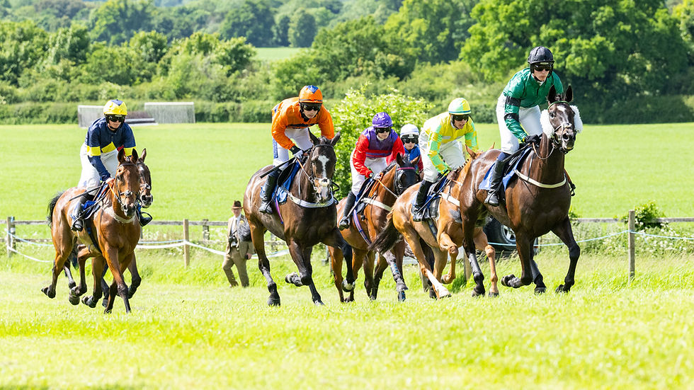 PPORA Race Previews: 31/01/26 and 01/02/26