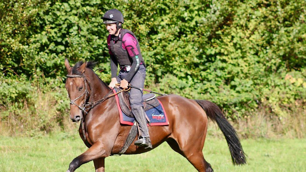 Josh Newman (on El Capitaine) - improves his horses (Caroline Exelby)
