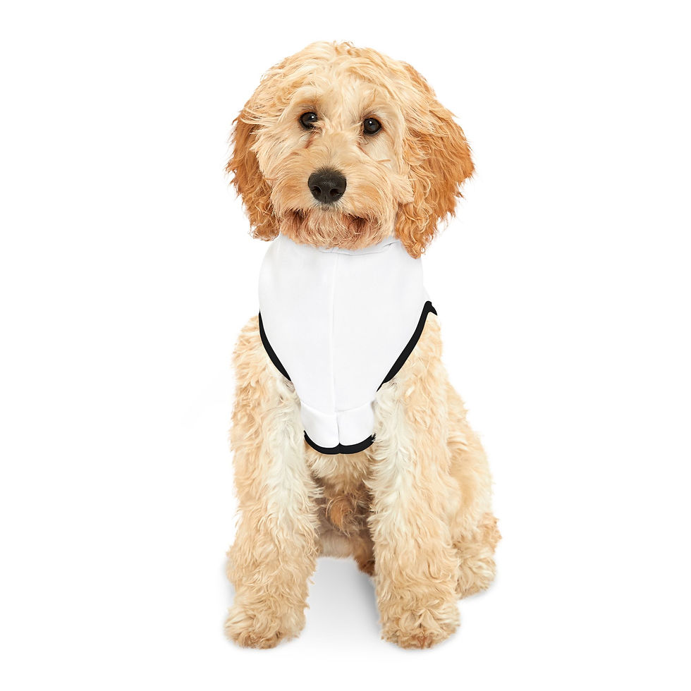 Thumbnail: Snack Machine Pet Hoodie 