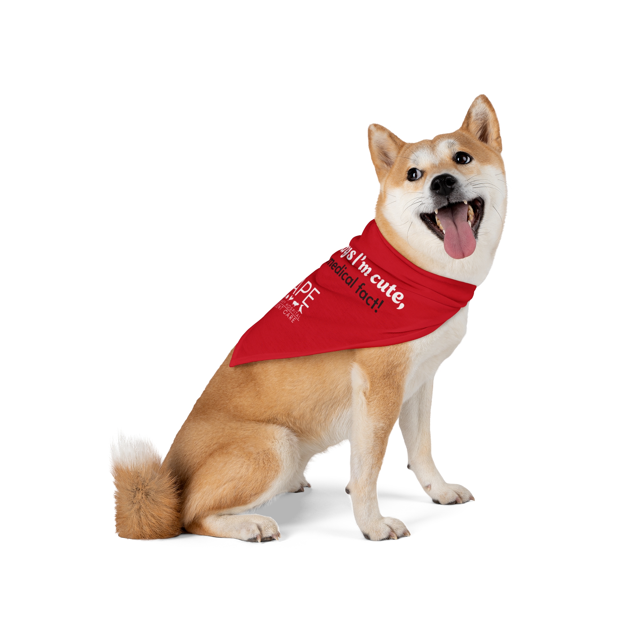 Writer: Cape Veterinary Hospital