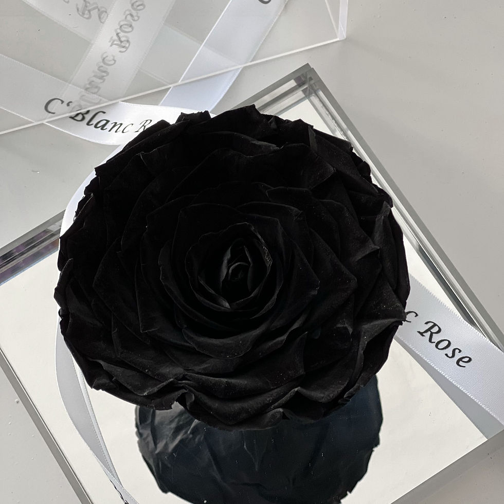 Thumbnail: Sugarplum Single Preserved Rose