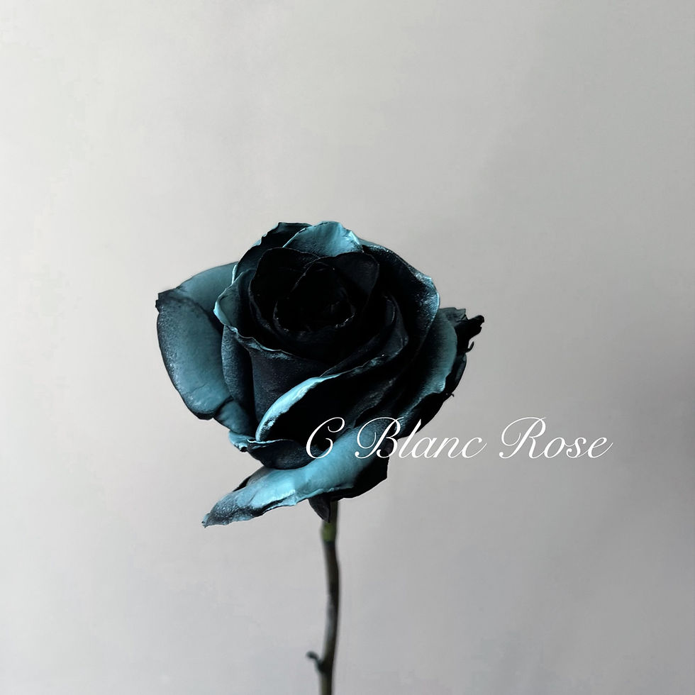 Thumbnail: Midnight Romance Rose Bouquet
