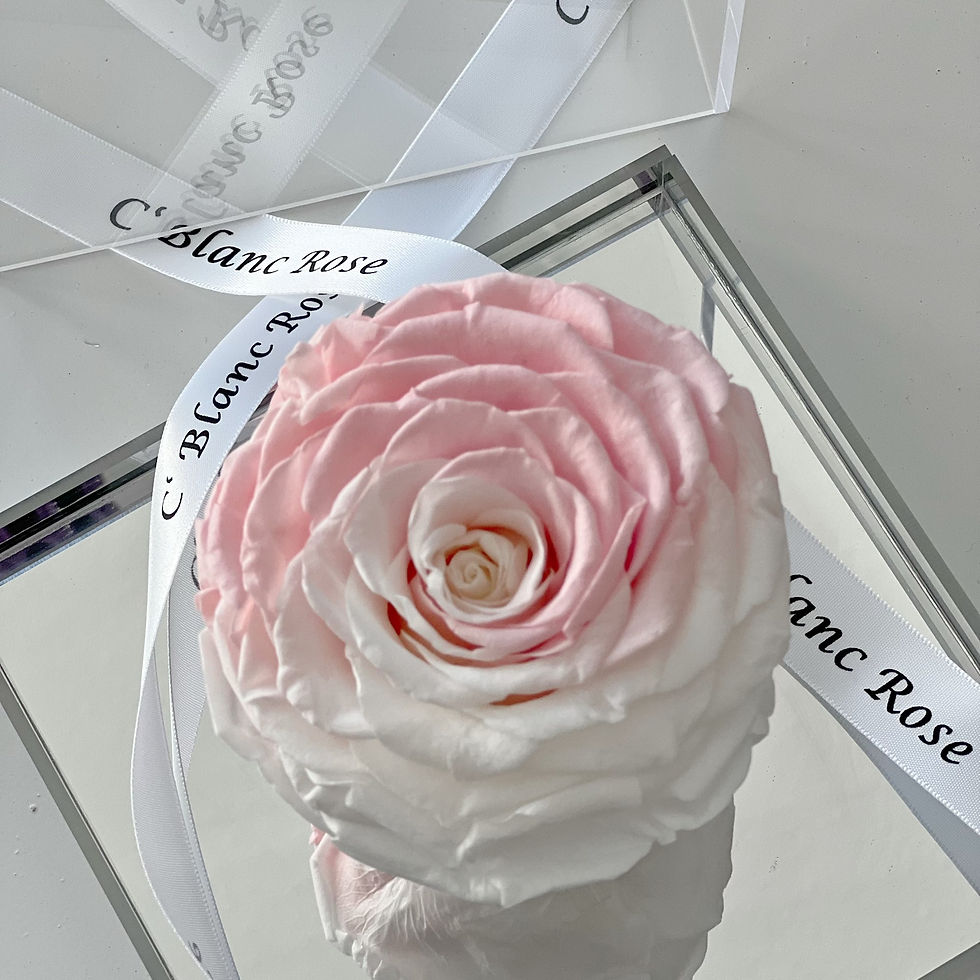 Thumbnail: Sugarplum Single Preserved Rose