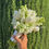 Thumbnail: Flower Poesy Wedding Bouquet