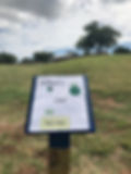 Disc Golf