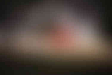 a red barn wedding venue framed by large trees at Over The Vines in Edgerton Wisconsin