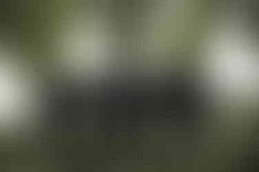 groomsmen walking and smiling in green grass at Over The Vines in Edgerton Wisconsin