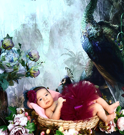 Fabulous_babies_pictures_near_Seattle_WA