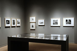 JACQUES HENRI LARTIGUE