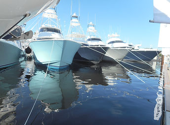 DSCN1031.JPG
