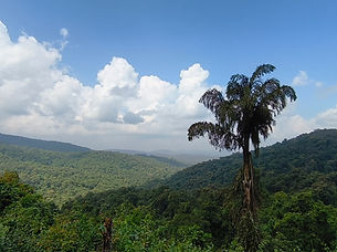 IMG_20251105_114820.jpg