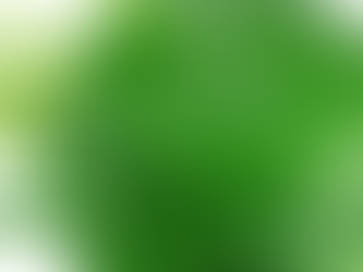 पान के पत्ते (Betel leaves) से करें ये उपाय (remedy), दूर होगी सारी दिक्कत