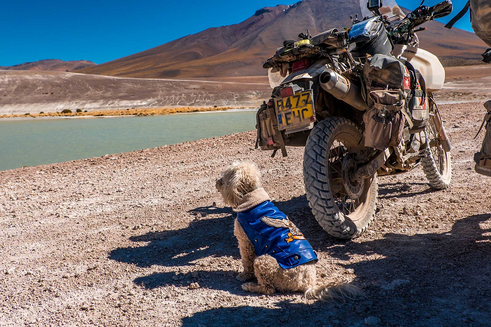 Jack appreciating the scenery on the Lagunas Route - AvVida.co.uk
