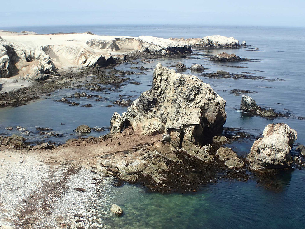 Coast line - Picture by Suzie Bostock
