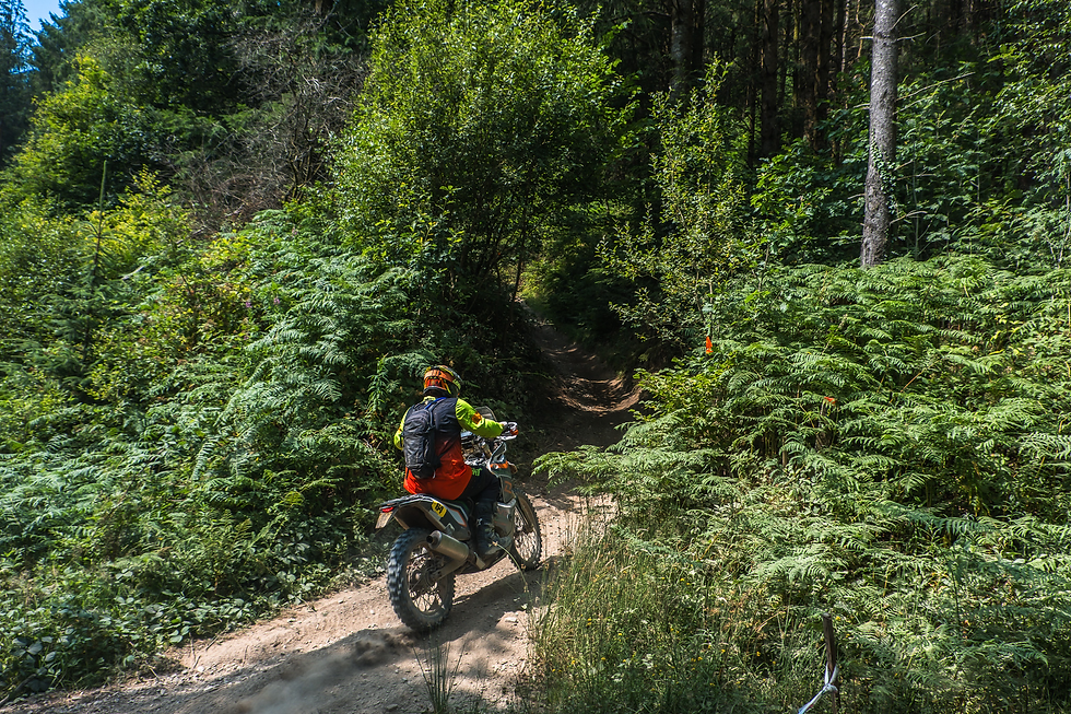 Motorcyclist in bright orange and green gear rides a dirt bike up a narrow forest trail surrounded by lush ferns. Beacons Rally 2026 - ACU British Bike Rally Championship.