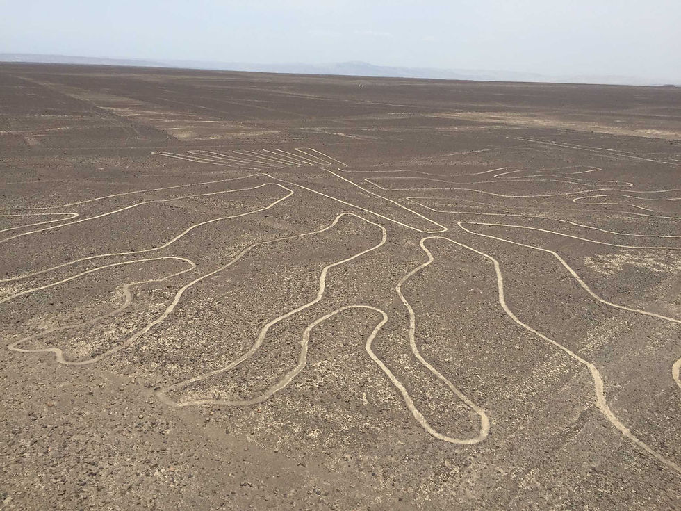 Nasca Lines