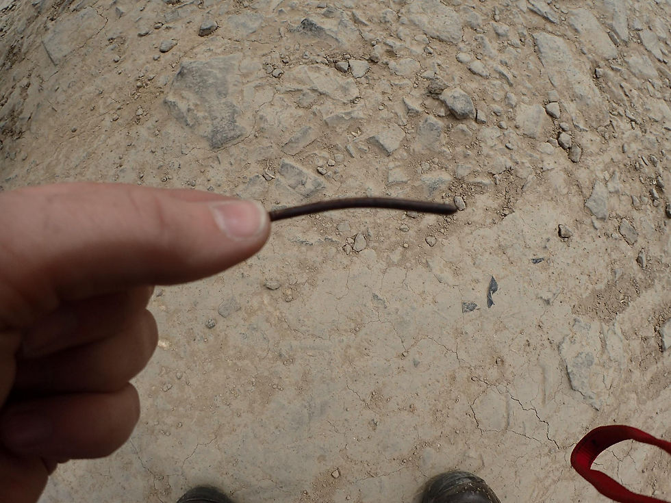 The dreaded nail!