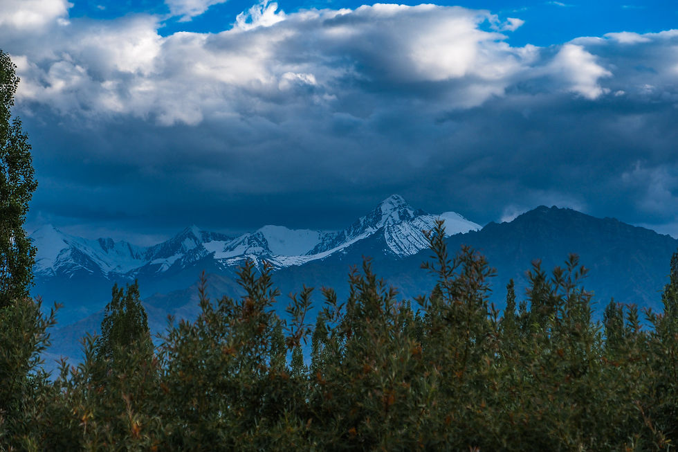 Snowy mountain range beneath dramatic blue clouds, with green trees in the foreground and a moody alpine landscape. AvVida.co.uk - Life is an Adventure / La Vida es Una Aventura