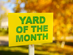 November Yard of the Month