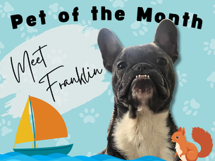 Pet of the Month: Franklin