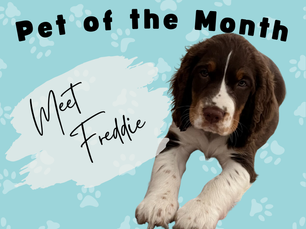 Pet of the Month: Freddie