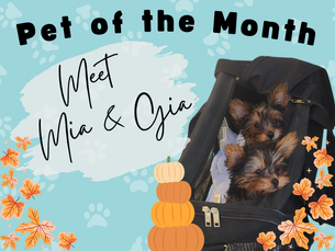 Pets of the Month: Mia & Gia