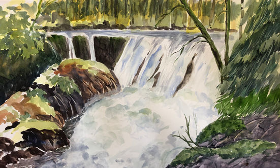 Whatcom Falls