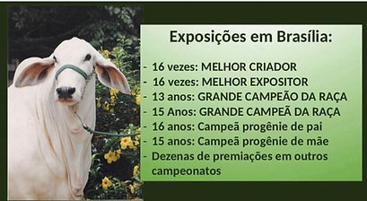 23-ONDA VERDE-PREMIAÇÕES EM BRASÍLIA.jpeg