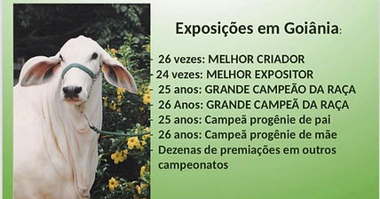 22-ONDA VERDE-PREMIAÇÕES EM GOIÂNIA.jpeg